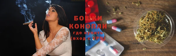 Альфа ПВП Верея